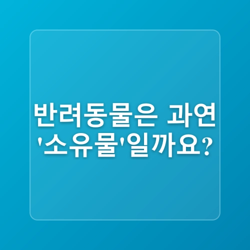 [동물보호법 바로알기] 반려동물 : 소유물인가, 가축인가, 아니면 동반자인가?