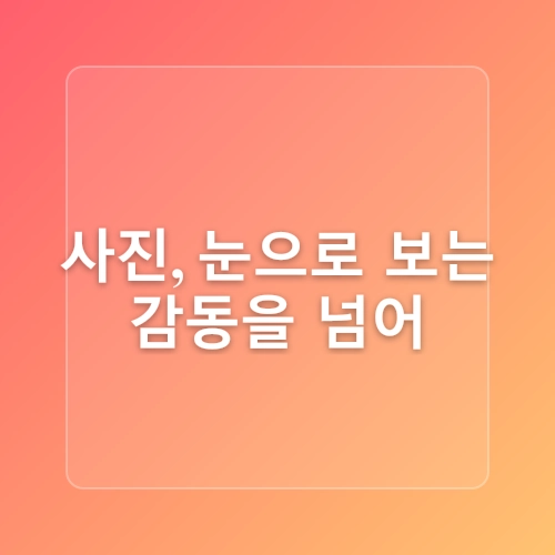 초보자를 위한 사진 입문