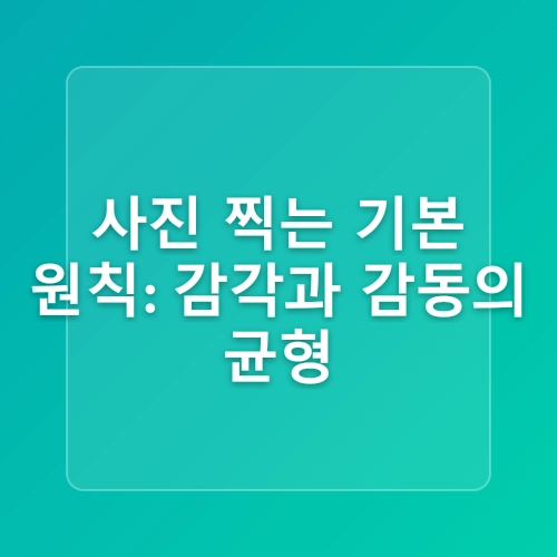 초보자를 위한 사진 입문