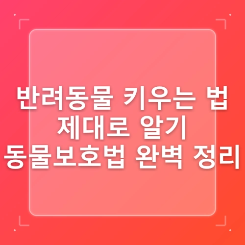 [동물보호법 바로알기] 반려동물 : 소유물인가, 가축인가, 아니면 동반자인가? post thumbnail image