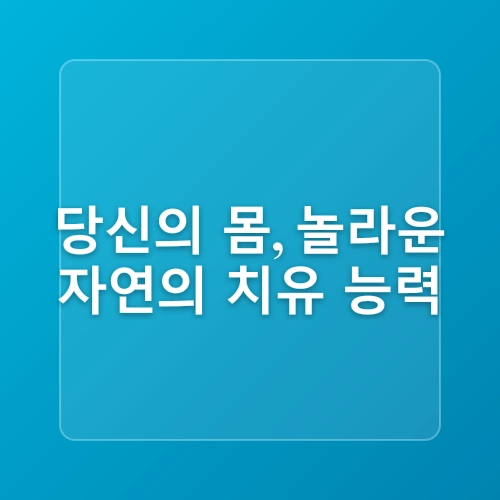 당뇨병 환자를 위한 건강 관리: 당뇨 관리에 도움이 되는 상위 10가지 건강 보조제 및 식품 리뷰