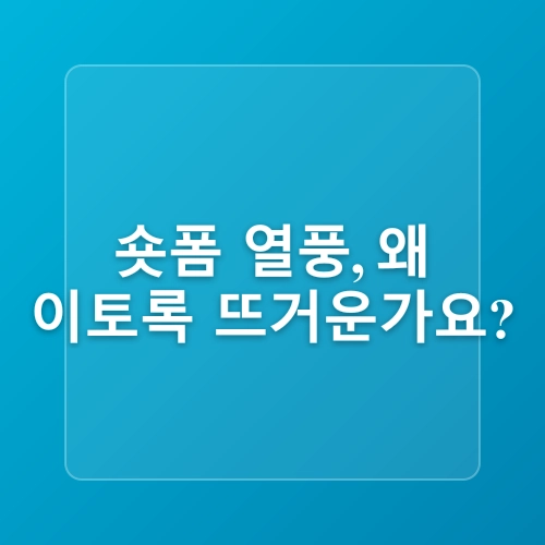 더현대서울 롱제이의 스마트폰 숏폼 촬영 캡컷 편집 활용법 배우기