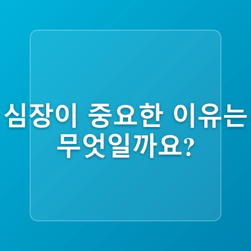 심장 건강을 지키는 생활 습관 – 건강한 심장을 위한 실천법과 루틴