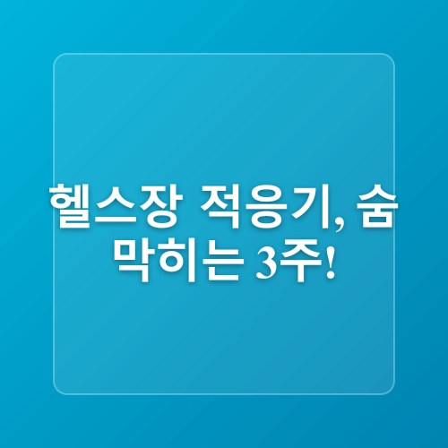 시지헬스장 운동초보의 근력키우기