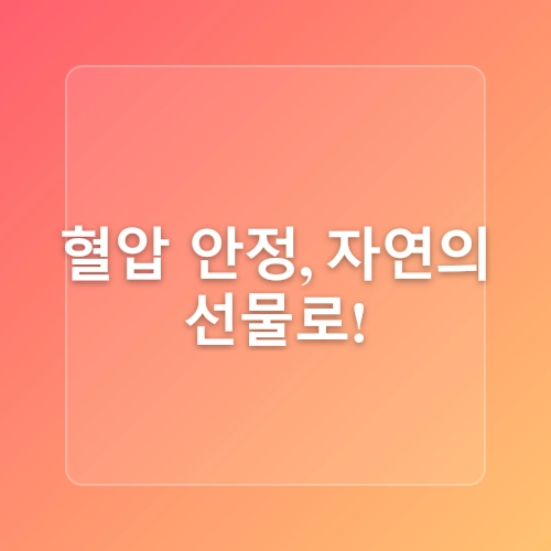 고혈압에 좋은 차 4종류 알아보자