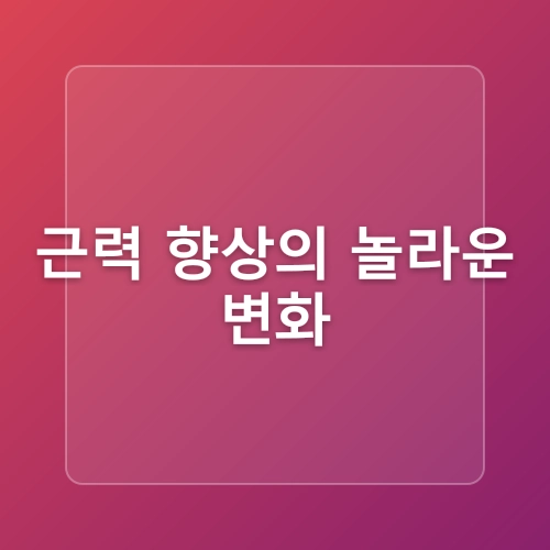 시지헬스장 운동초보의 근력키우기
