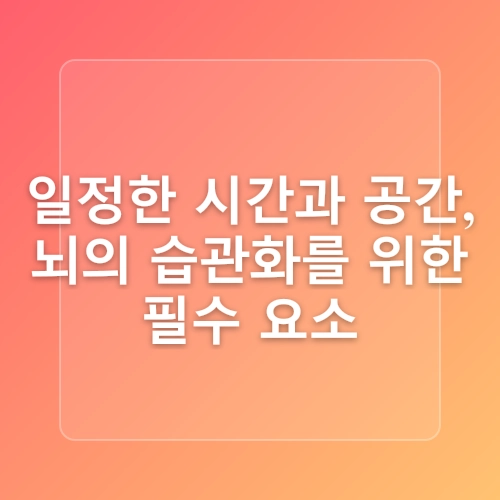 공부 습관 만드는 법 & 집중력 높이는 방법
