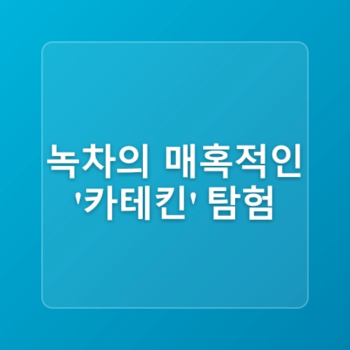 녹차 효능 녹차가 지방 연소를 돕는 이유