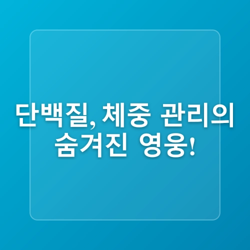 건강한 다이어트를 위한 단백질 섭취 노하우와 팁