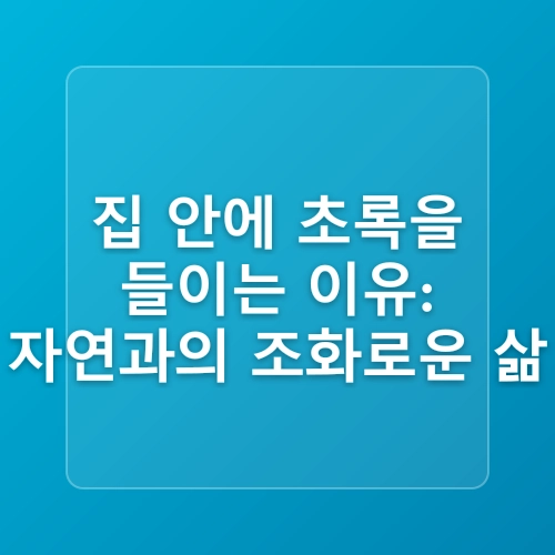 집에서키우기쉬운식물, 실내조경을 밝히는 나무 추천