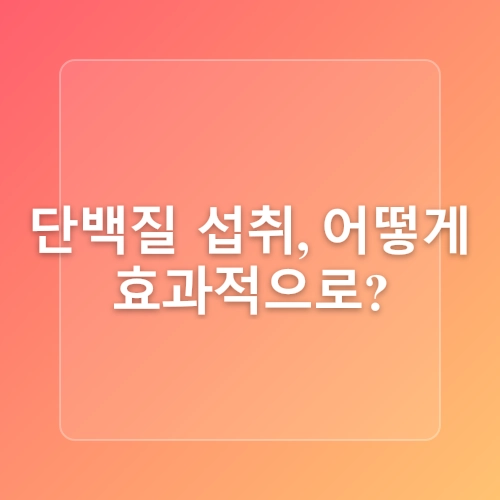 건강한 다이어트를 위한 단백질 섭취 노하우와 팁