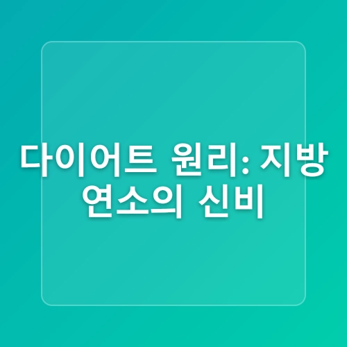 방탄커피 다이어트 효과 높이는 원리 파헤치기