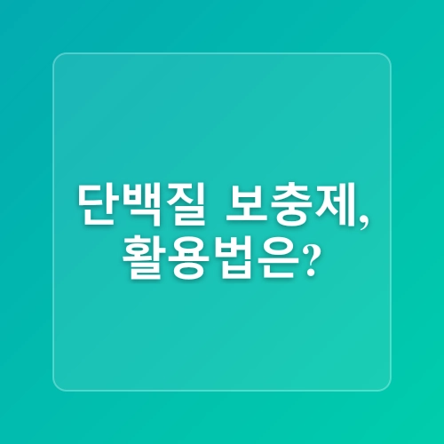 건강한 다이어트를 위한 단백질 섭취 노하우와 팁