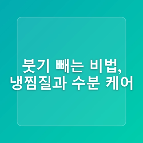 붓기 빨리 빼는법 시원한 수딩젤 추천