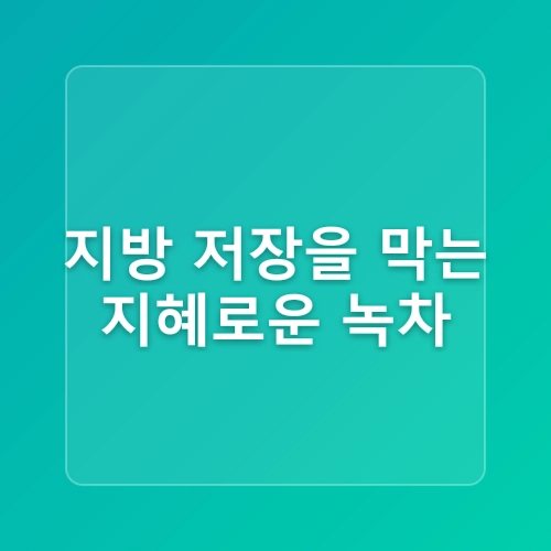 녹차 효능 녹차가 지방 연소를 돕는 이유