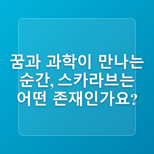 탐사 로봇이 간다! 