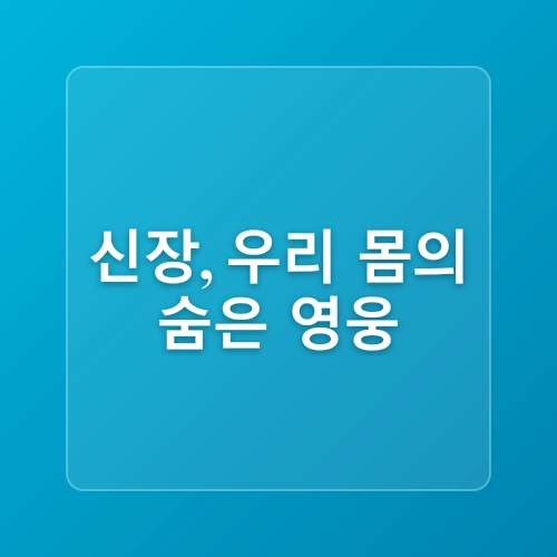 콩팥이 안 좋으면 나타나는 신장 질환 콩팥 수치 : 결과분석
