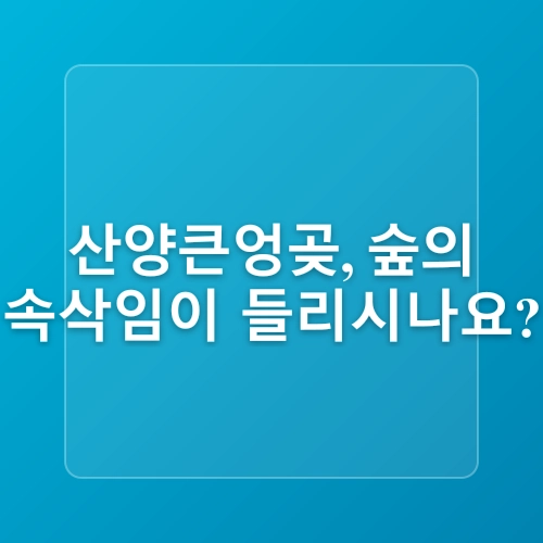 (제주도 가볼만한곳) 겨울에 만나는 제주 풍경!