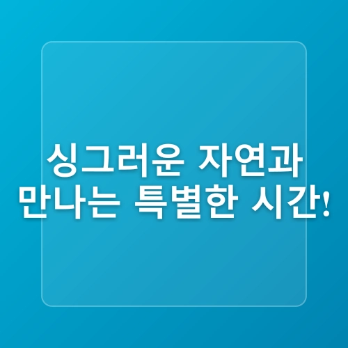 6월 꽃구경 천안 여행 가볼만한곳 서울 근교 데이지 명소 이숲