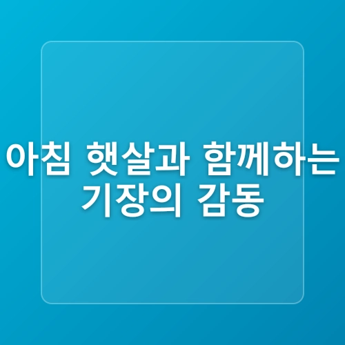 1박2일 부산 가볼만한곳 기장 오랑대 일출부터 해운대 야경까지 감천문화마을 포함 여행코스 커플 데이트 명소