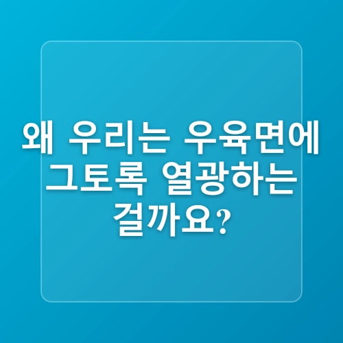 종각역 우육면 맛집 미쉐린 서울 2025 연속5년선정  진중우육면관 본점의 레트로 감성에 힐링받아요