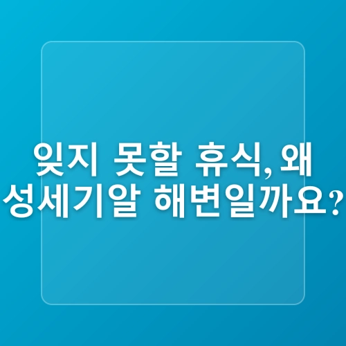 제주 동쪽 스노클링 포인트 아이들과 물놀이하기 좋은 김녕 성세기해변