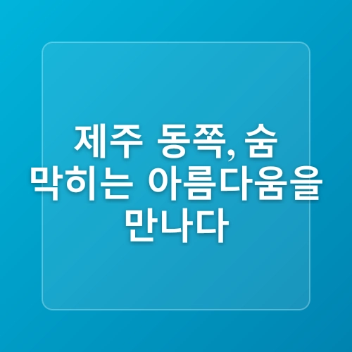 제주 함덕해수욕장 서우봉 해변 애견동반 함도그비치 위치 파라솔 가격 동쪽 가볼만한곳