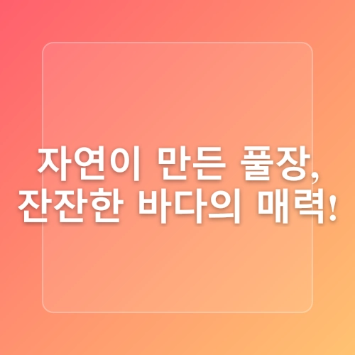제주 동쪽 스노클링 포인트 아이들과 물놀이하기 좋은 김녕 성세기해변