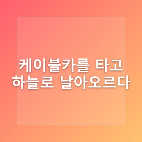 강원도 겨울 눈꽃 여행지 - 용평 발왕산 케이블카 스카이워크 천년주목숲길
