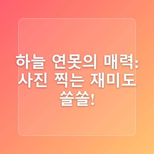 제주 돌문화공원 입장료 폭삭 속았수다 여행