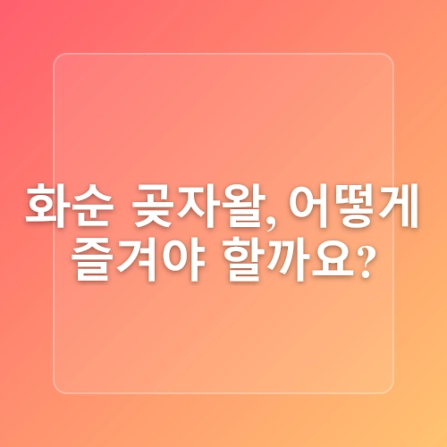 제주 서귀포 아이랑 조용한 생태탐방 숲길, 화순곶자왈