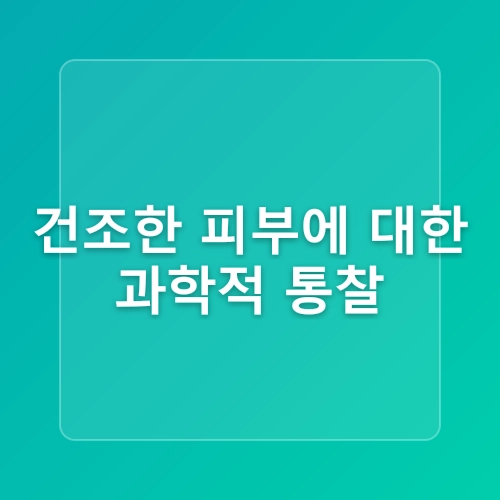 건조한피부관리 더마디 아쿠아 퓨어 앰플 물광피부만드는법 촉촉보습 스킨케어순서