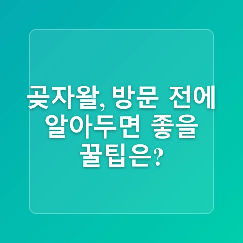 제주 서귀포 아이랑 조용한 생태탐방 숲길, 화순곶자왈
