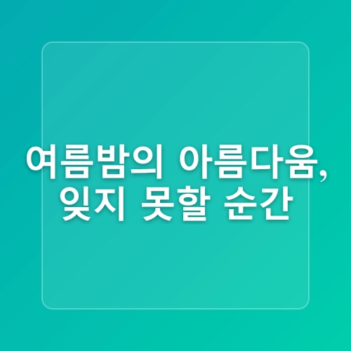 8월 부산바다축제2025 기본정보 일정 라인업 가수 다대포 해수욕장 불꽃놀이 여름 가볼만한곳 추천