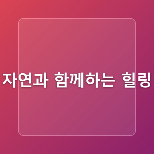 6월 꽃구경 천안 여행 가볼만한곳 서울 근교 데이지 명소 이숲