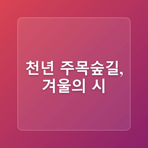 강원도 겨울 눈꽃 여행지 - 용평 발왕산 케이블카 스카이워크 천년주목숲길