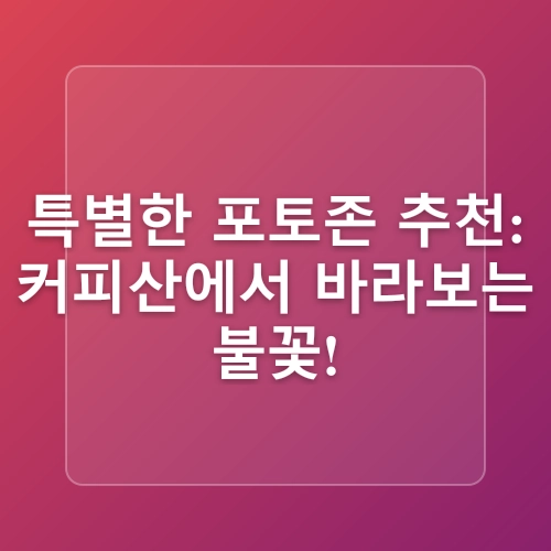 창원 여름 가볼만한곳 마산 여행 장수암 가고파 국화축제 불꽃