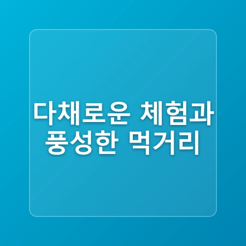 8월 부산바다축제2025 기본정보 일정 라인업 가수 다대포 해수욕장 불꽃놀이 여름 가볼만한곳 추천