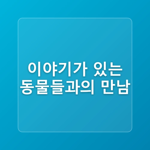 경주엑스포대공원에서 만난 케이팝 데몬 헌터스 더피와 상상 동물들