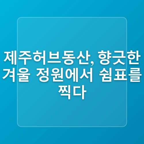 (제주도 가볼만한곳) 겨울에 만나는 제주 풍경!
