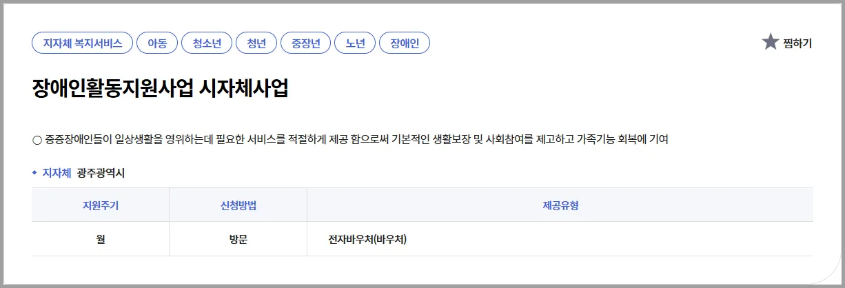 💡 장애인활동지원사업 시자체사업 | 현직 복지사의 실속 가이드