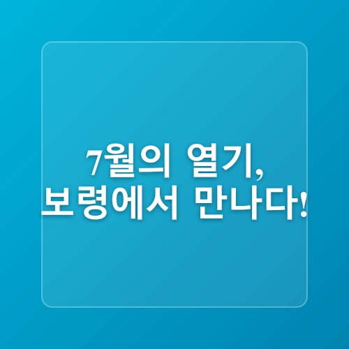 2025 보령머드축제, 진흙 속에서 벌어지는 상상초월 축제의 모든 것