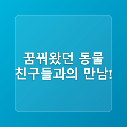 서울 드라이브 여행지 근교 당일치기로 유명한 장소 추천