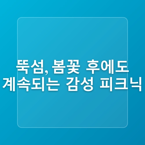 4월 서울 피크닉 명소 추천! 한강에서 즐기는 감성 피크닉 BEST 3