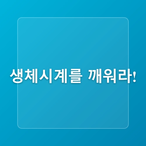 불면증 완전 해결! 과학적으로 입증된 숙면 유도법 10가지와 수면의 질 향상 전략