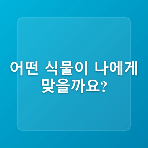 집에서키우기쉬운식물, 실내조경을 밝히는 나무 추천
