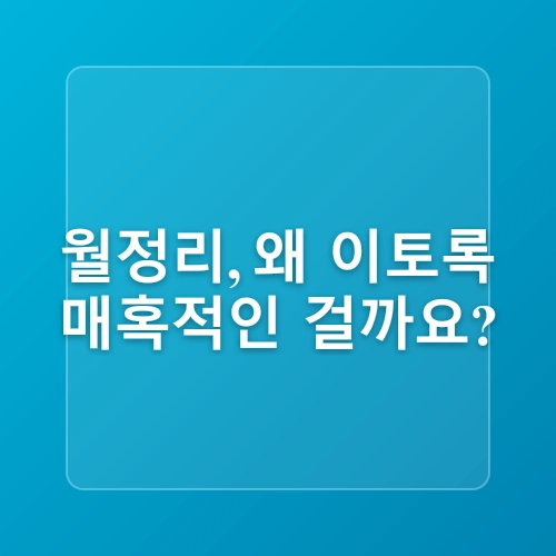 제주 월정리해변 감성 가득한 해변 산책