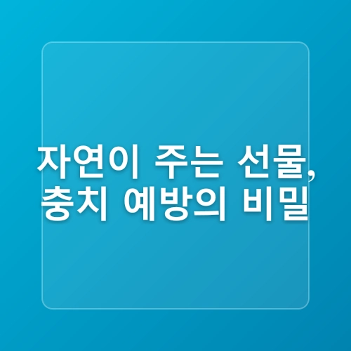충치 치료를 위한 자연 요법과 대체 의학