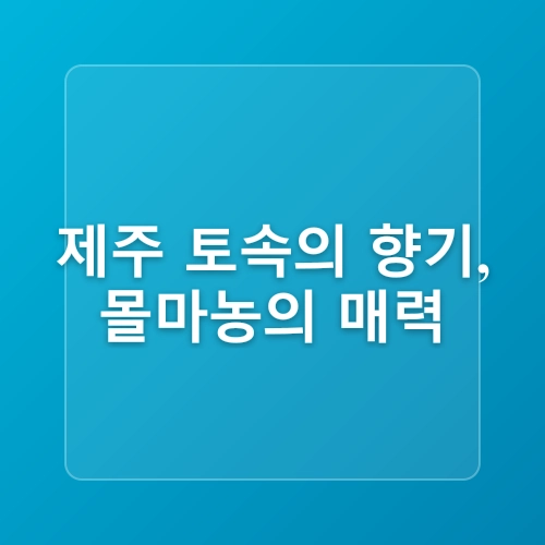 제주도 여행 성산맛집 해물문어라면 몰마농 아쿠아플라넷맛집