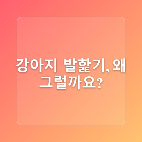 반려동물과 함께하는 건강한 생활의 지혜